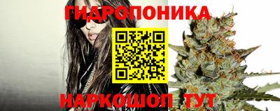 скорость Жуковский