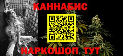альфа пвп Заводоуковск