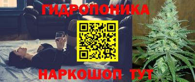скорость Жуковский