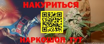 альфа пвп Заводоуковск