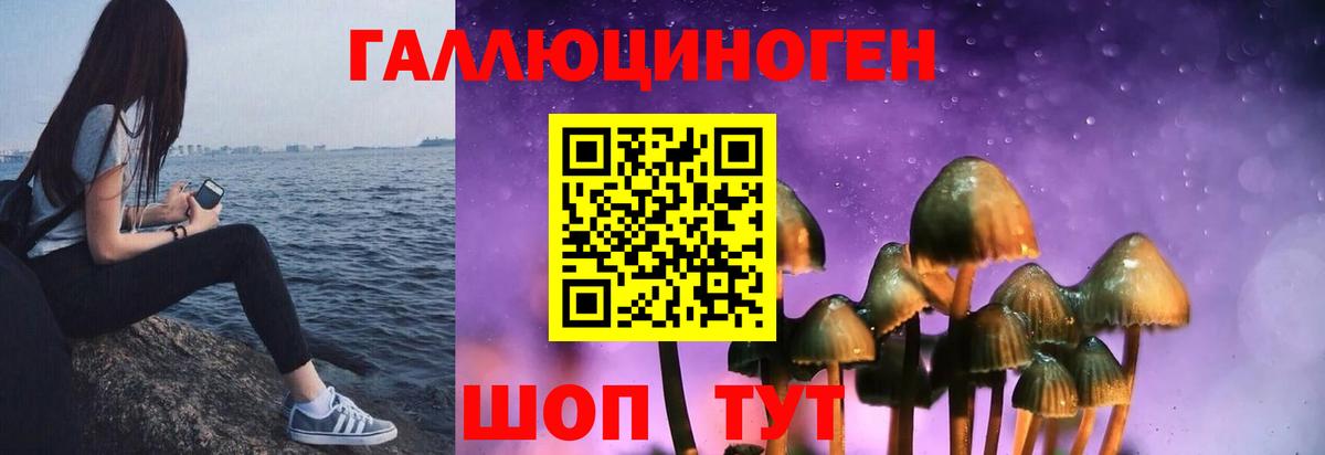 Псилоцибиновые грибы мицелий  Вход с VPN  Свободный 