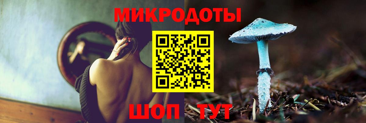Галлюциногенные грибы Psilocybine cubensis Свободный